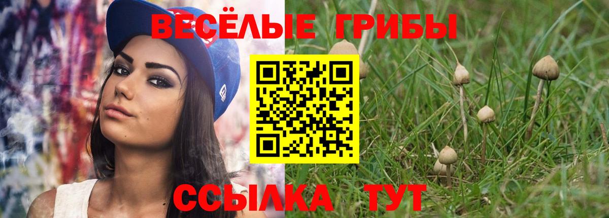 Родники  Галлюциногенные грибы Psilocybine cubensis  Вход с VPN  Галлюциногенные грибы прущие грибы 